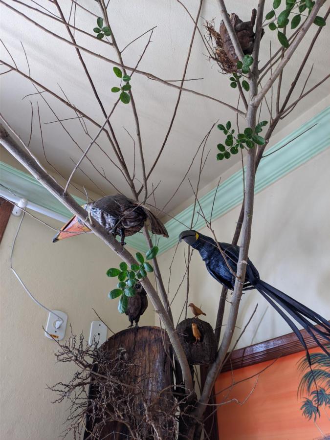 Hotel Pousada Guaypora Guarapari Kültér fotó